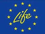 logo_life