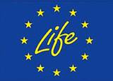 logo_life