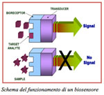 008_02_Biosensore