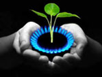 011_02biogas