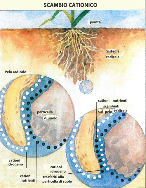 1_1_8n_scambio