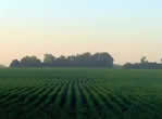 04_01praticheagricole