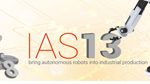 IAS 13