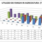 figura5 definitiva