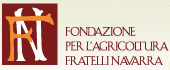 fondazione navarra