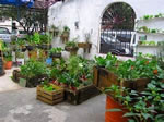 07_05_agriurbana