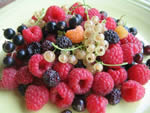 08_003_frutti