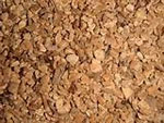 09_01nocciolino