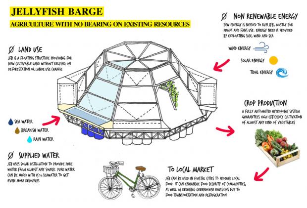 10_03Jellyfish schema