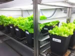 10_02Neiker_biofertilizzanti