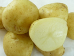 12_01_patata