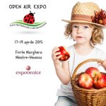 logo open air expo