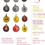 villa-favorita-2016