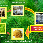 progetto green woolf