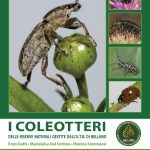 I-Coleotteri-cop-ertina