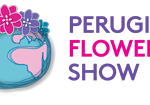 Flower show 2016