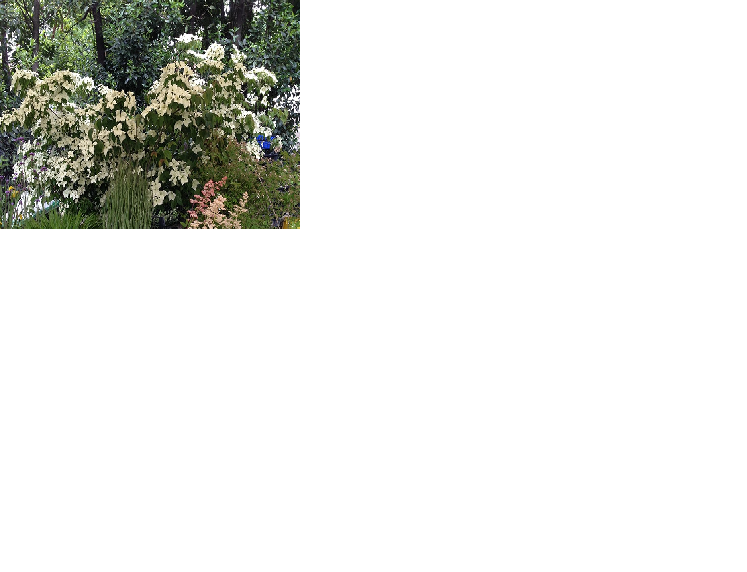 floreka