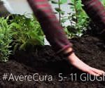 Avere_cura