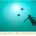 Tartaruga Rossa_Bim Distribution