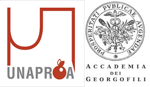 accademia