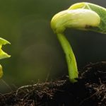 greening_your_business