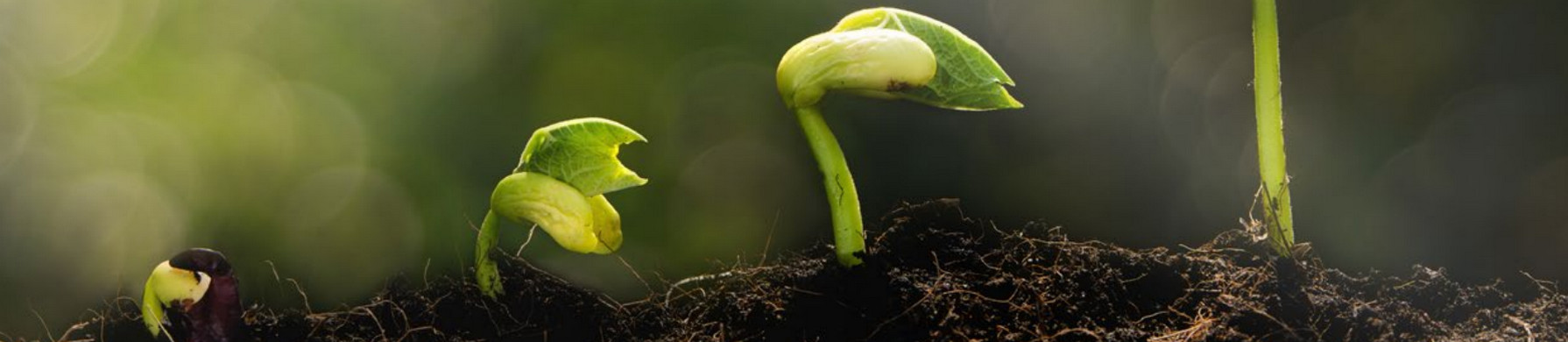 greening_your_business