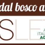 aiel_dal bosco al camino