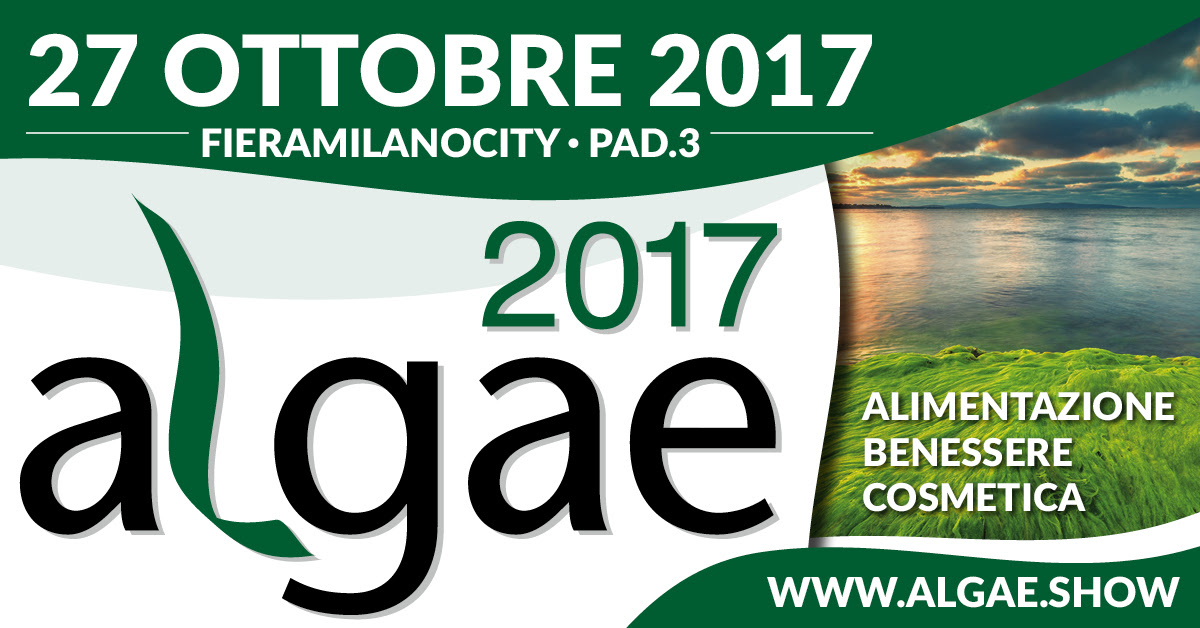 alghe 2017