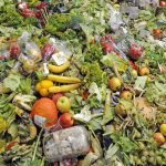 Spreco alimentare