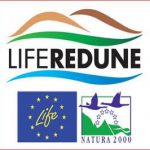 liferedune
