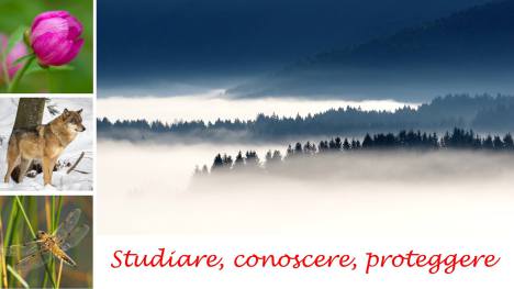 9-16marzo2018 -cansiglio