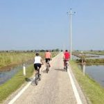 passeggiata in bici