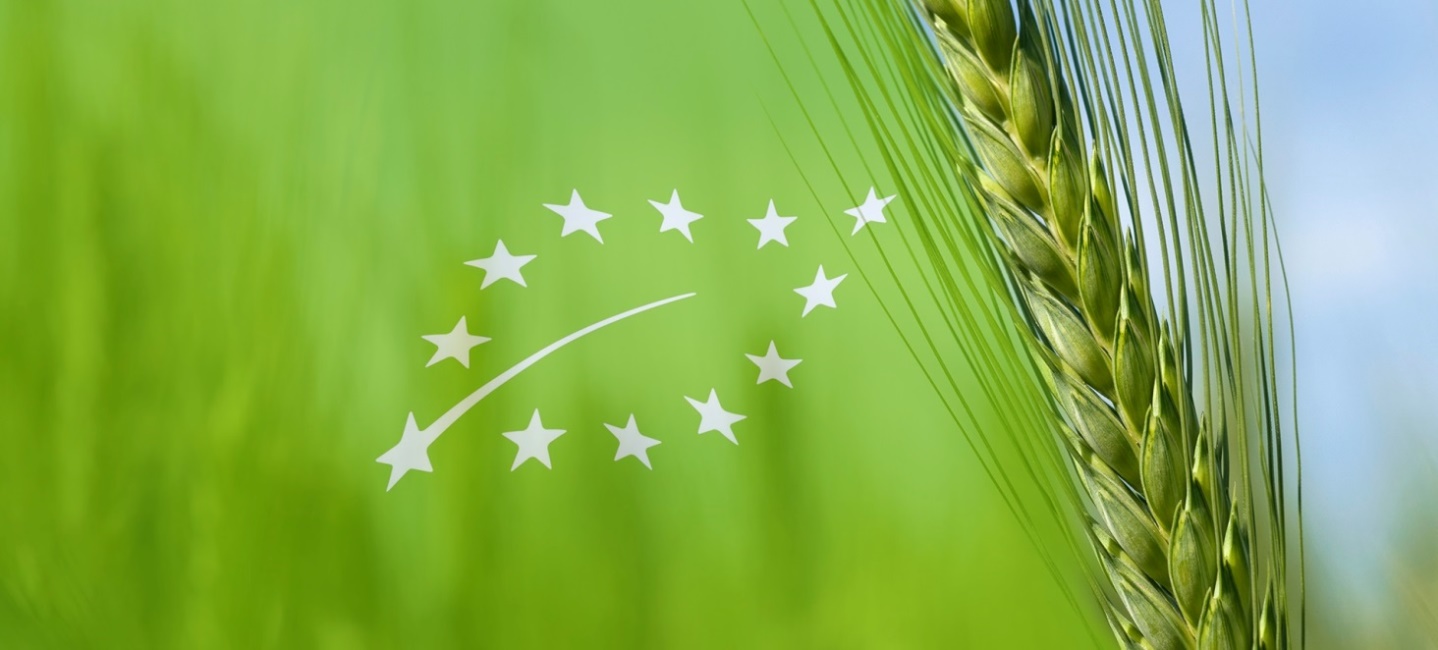 agribio_principale