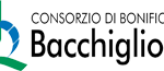 logo consorzio Bacchiglione