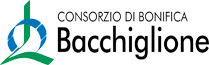 logo consorzio Bacchiglione