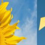 rilancio fotovoltaico-13