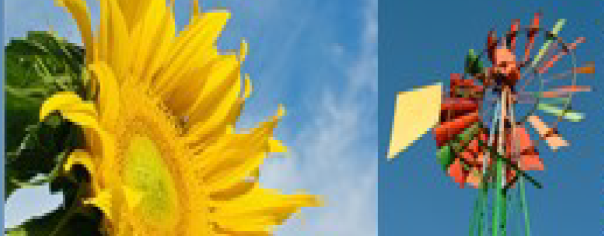 rilancio fotovoltaico-13