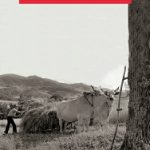 Il tempo di Narciso