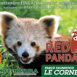 2018redpanda-day