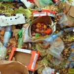 Spreco alimentare _principale