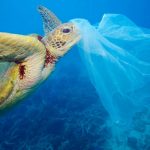 inquinamento plastica principale