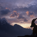 ambiamenticlimatici 27 ott