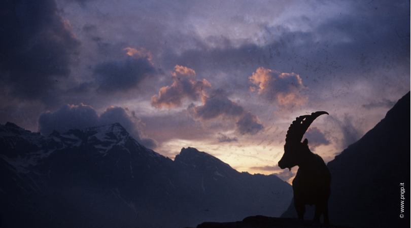 ambiamenticlimatici 27 ott