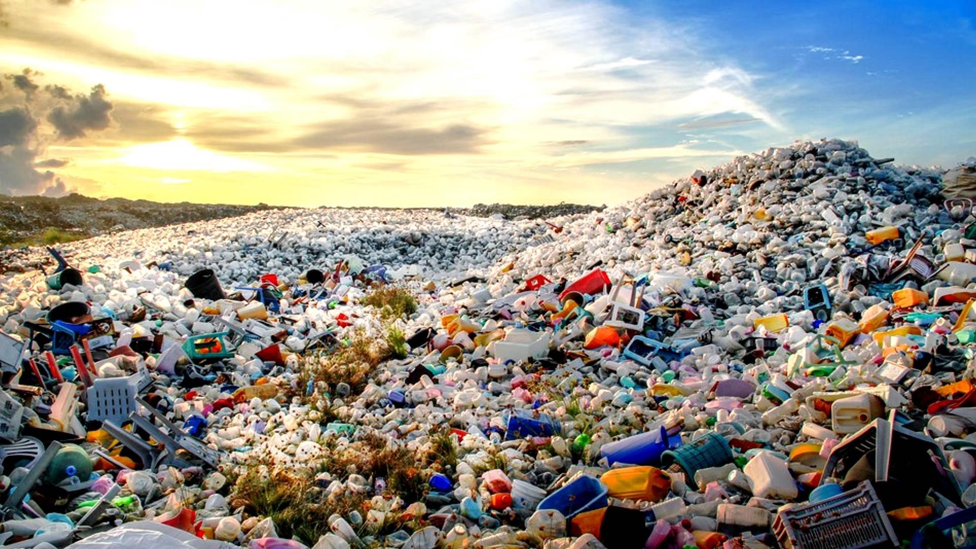 ecowave2018-plastica_principale