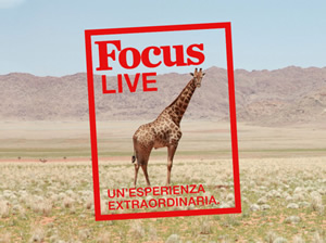 focus-live 2018
