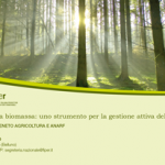 telriscaldamento a biomassa 16-11-18