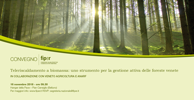 telriscaldamento a biomassa 16-11-18