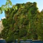“Mur Vegetal” a Parigi. Foto di Andrea Campiotti