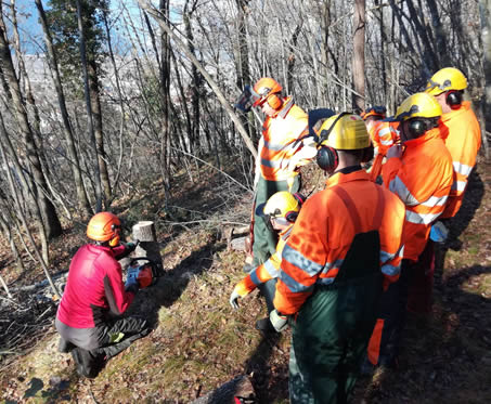corso verde - motosega