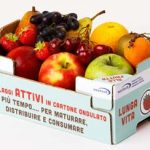 ATTIVO-pack frutta